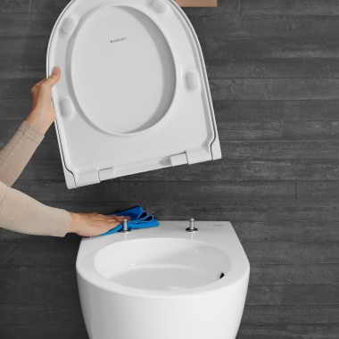 Быстросъемное сиденье Geberit Acanto Быстросъемное сиденье Geberit Acanto