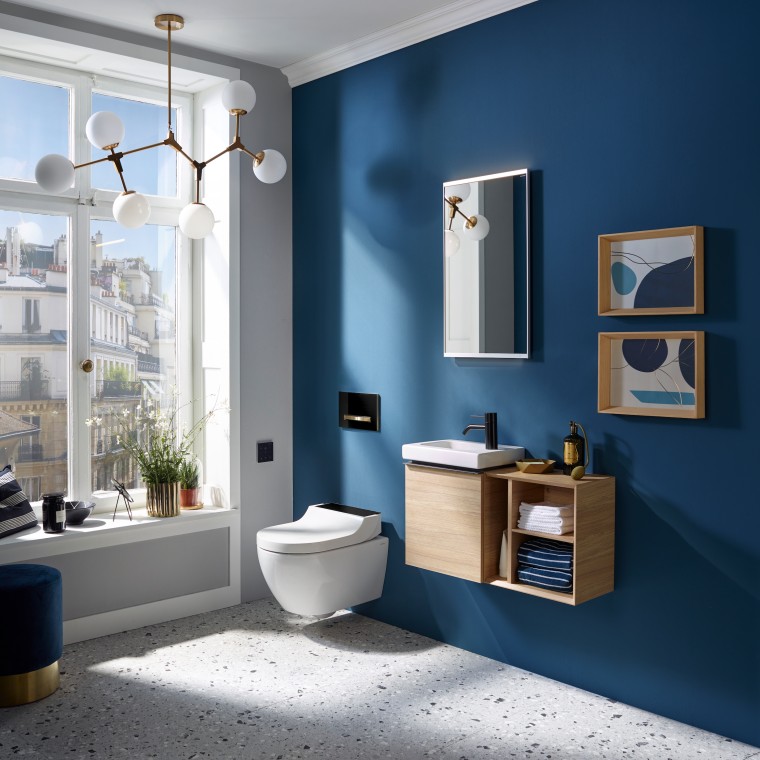 Унитаз-биде Geberit AquaClean Tuma с черной крышкой Унитаз-биде Geberit AquaClean Tuma с черной крышкой