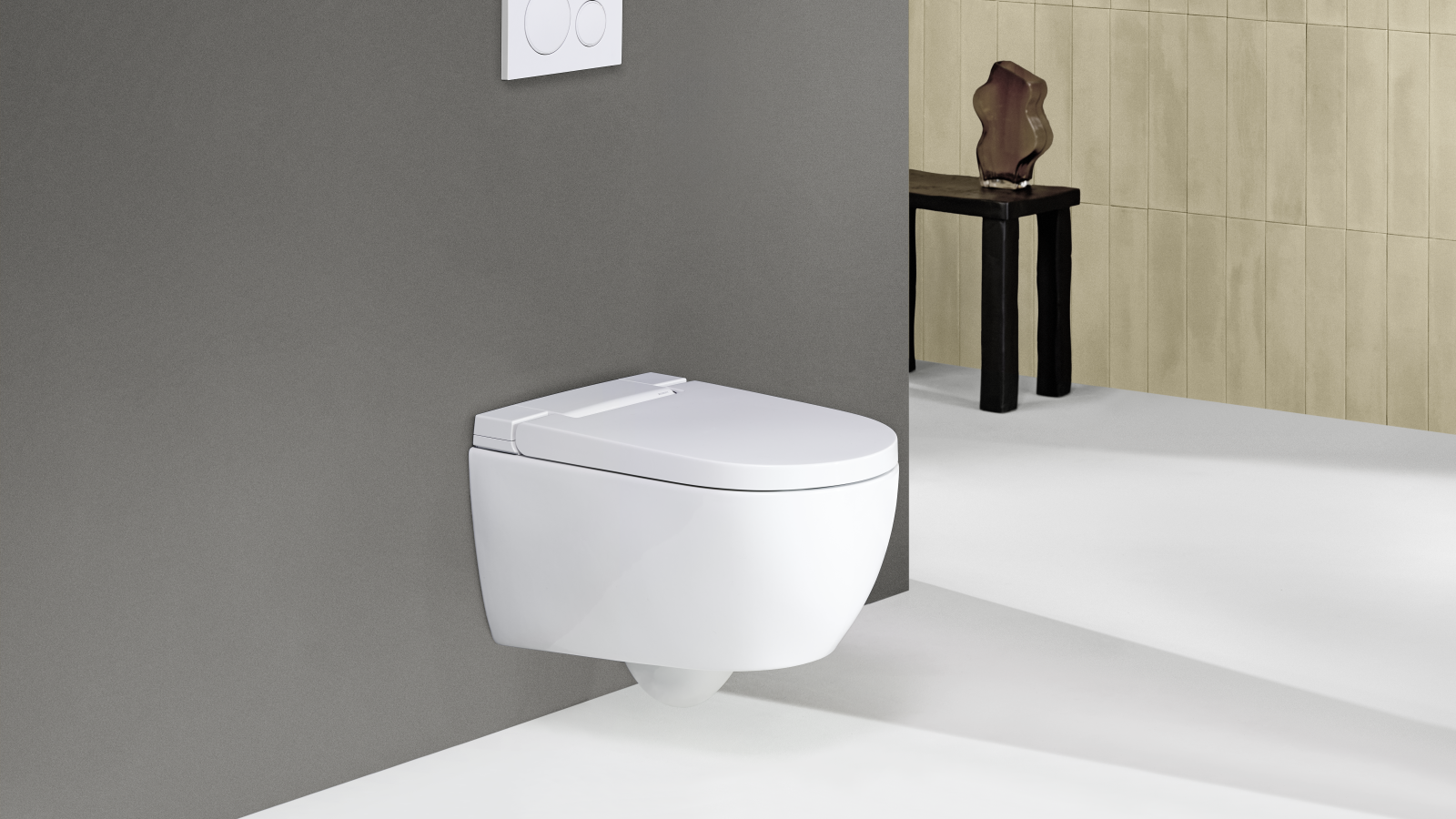 Geberit AquaClean Alba с пультом дистанционного управления Sigma20 Geberit AquaClean Alba с пультом дистанционного управления Sigma20
