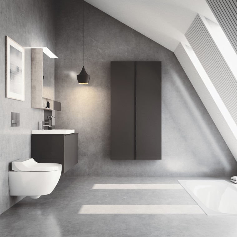 Унитаз-биде Geberit AquaClean Tuma с крышкой из матовой нержавеющей стали Унитаз-биде Geberit AquaClean Tuma с крышкой из матовой нержавеющей стали