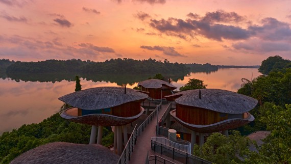 Дома в форме семенных коробочек в курортном отеле Mandai Rainforest Resort (© Banyan Tree)